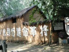 android_upload_pic-微山湖红荷湿地景区