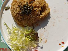 -上海野生动物园老虎餐厅