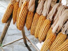 -王婆炒鱼(总店)