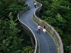 -福道