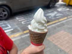 -富豪雪糕车流动点(尖沙咀店)