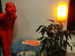 -向外鱼乐·土菜·虹鳟鱼