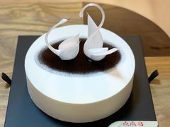 -BLACKSWAN黑天鹅(环球店)