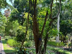 -中国科学院西双版纳热带植物园