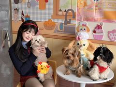 -汪说·狗咖·拼豆·宠物周边DIY(旺城大厦店)