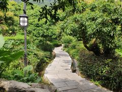 -大屏嶂森林公园