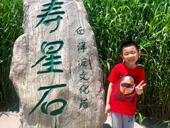 -白洋淀景区