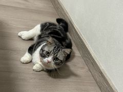 -御宝贝24h宠物医院·转诊中心·CT核磁血透中心(厦门总院)