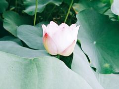 -龙环葡韵住宅式博物馆