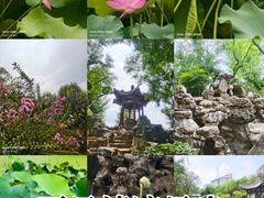 -莲湖公园