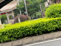 -东湖公园游乐场