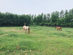 -西青郊野公园