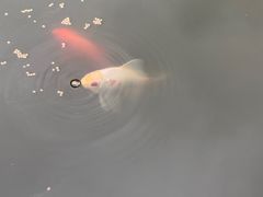 -济南马套将军山