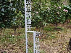 -云溪植物园