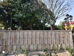 -映月湖公园