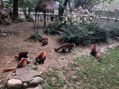 -西安秦岭野生动物园