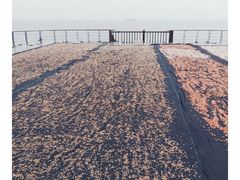 -巢湖姥山岛