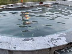 -天目湖御水温泉·度假酒店