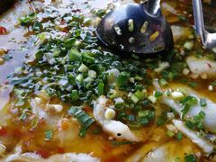 酸菜翘壳鱼-笑红饭庄