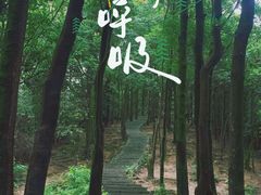 -火炉山森林公园