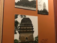 -乐山市博物馆