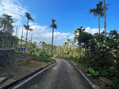 -海南白石岭旅游区