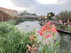 -大门水乡·顺德菜