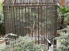 -南宫五洲植物乐园