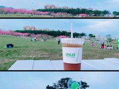 -风云岭森林公园