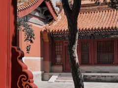 -故宫博物院(故宫)