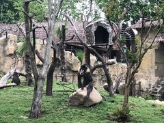 -上海野生动物园
