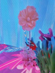 -超级奈尔宝SUPER NEOBIO(杭州星光店)