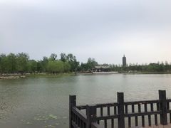 -西海子公园