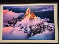 -罗红摄影艺术馆