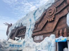 -秦皇岛乐岛海洋王国