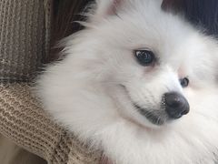 -怪兽屋·羊驼·猫咖·狗咖(俊华广场店)