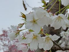 -巴公房子