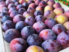 -地利生鲜(甘井子街店)