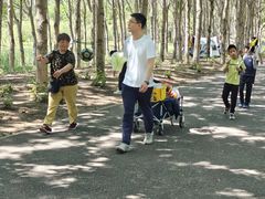 -东郊湿地公园