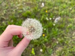 -阳澄湖半岛旅游度假区