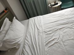 -海悦酒店(白石洲地铁站世界之窗店)