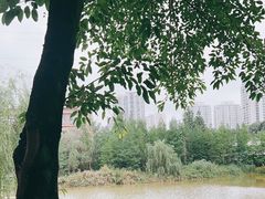 -沐仙湖湿地公园