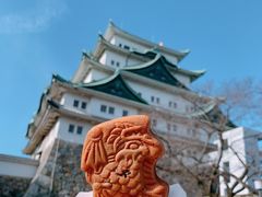 -名古屋城