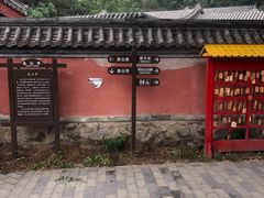 -阳台山自然风景区