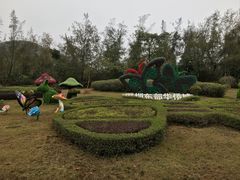 -东部华侨城