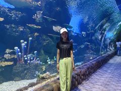 -华夏文旅海洋公园