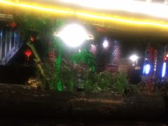 -尽善百年古院餐厅(王家老宅店)