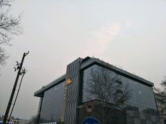 -真爱中国餐馆·年华店(朱雀大街店)
