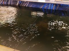 -DGE季风钓虾营地·团建·聚会