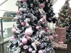 -米纸越南小馆(金鹰世界店)